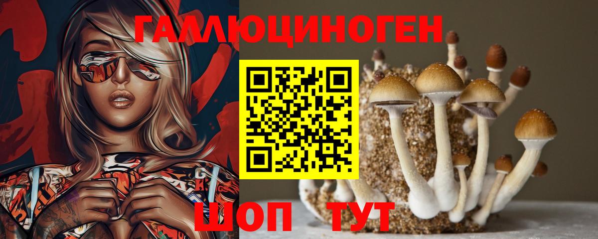 Галлюциногенные грибы ЛСД Кунгур